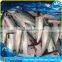 frozen pacific mackerel HGT