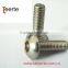 Hexagonal Socket Cap Head Screw With Good Quality
