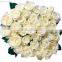 Export natural hot sale fresh cut white roseflowers