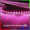 Newest Technology Purple Color 2835 CE Rohs DC 12v Led Strip Light