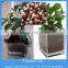 hydroponic substrate lightweight expanded clay aggregate
