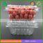 China wholesale disposable cherry tomatoes packaging box with lid