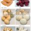 potato peeling machine China factory price