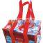 Factory Price Cooler Bag for Frozen Food High Quality                        
                                                Quality Choice