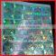 Custom self adhesive hologram stickers for digital products