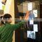 buy wholesale direct from china infrared multi touch frame
