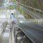 Chemical resistant conveyor belt