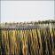 20CM polyester tassel fringe trim For belly dance naked women latin Dance wear clothing tassel (black and gold)                        
                                                Quality Choice