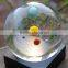 Personalized crystal decorative ball for gift