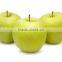 Supply fresh apple golden delicious for hot sale
