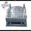 Plastic auto lamp mould plastic car lighting mould