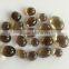Oval Cabochon Natural Smoky Quartz Loose Gemstones Lot Free Size