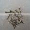 Competitive Price Wholesale China Supplier Concrete nail/cement nail/steel nail