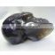 Pure Natural Amethyst Crystal Skull with geode good for collection or home decoration gift