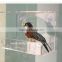 clear acrylic plastic hanging bird water feeder on window glass