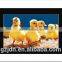 LCD/LED indoor advertising display_lcd advertising player 65 inch 60 inch lcd advertising player