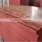 From China Supplier Marine Plywood