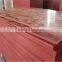 From China Supplier Marine Plywood