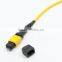 12 cores SM MTP Fiber Optic Patch Cord