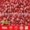 Round/long size red skin peanut kernel