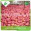 New fresh delicious red fuji apples fruits