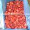Festival & Camarosa Frozen Strawberry