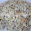 sunflower kernels dried sunflower seeds for bird food