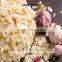 2016 Top Quality Garlic Flakes Factory Supply
