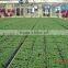 Flower And Vegetable Growing Greenhouse