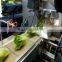Full Automatic Tarragon Vegetable Packing Equipment/machine