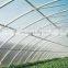 4mm polycarbonater greenhouse