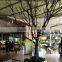 Q012704 white artificial tree no leaves ornamental size customized dry tree for decoration