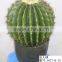 artificial cactus plant for indoor and outdoor decoration