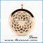 316L Stainless Steel Sunflower Pattern Aromatherapy Essential Oil Diffuser Necklace Locket Pendant