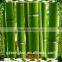 Artificial bamboo stick outdoor artificial bamboo hight quality artificial bamboo