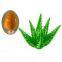 Emodin of 95% CAS NO 518-82-1