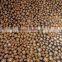 free sample available fluorescence color leopard grain glitter fabric