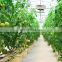 Best Price Plastic Dutch Bucket Hydroponics For Greenhouse
