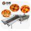 Efficient vegetable and fruit sorting machine/tomato grader /orange sorting machine
