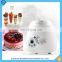 Commercial CE approved Yogurt Ice Cream Making Machine Digital yogurt making machine in kitchen appliances