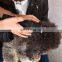 Widely Used Superior Quality Electric Pet Trimmer Mini, Electric Pet Shaver