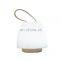 Hot sale battery changing switch on-off table light movable small led camping light for outdoor