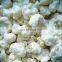 Sinocharm BRC Approved 3-5CM IQF White Cauliflower Cut Frozen Cauliflower