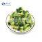 Sinocharm  IQF 2-4 cm Frozen broccoli with BRC Certificate