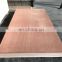 Bintangor face and red hardwood bottom  plywood made from shandong china