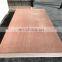 Bintangor face and red hardwood bottom  plywood made from shandong china