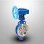 Stainless Steel Flanged Butterfly Valve