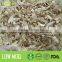 Dried Pleurotus Eryngii King Oyster Mushroom