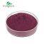 Plant Factory Hot Sale Low Price No Additives Food Grade Natural Elderberry Extract