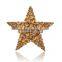 Shinny Rhinestones Star Shape Brooch